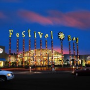 Festival Bay